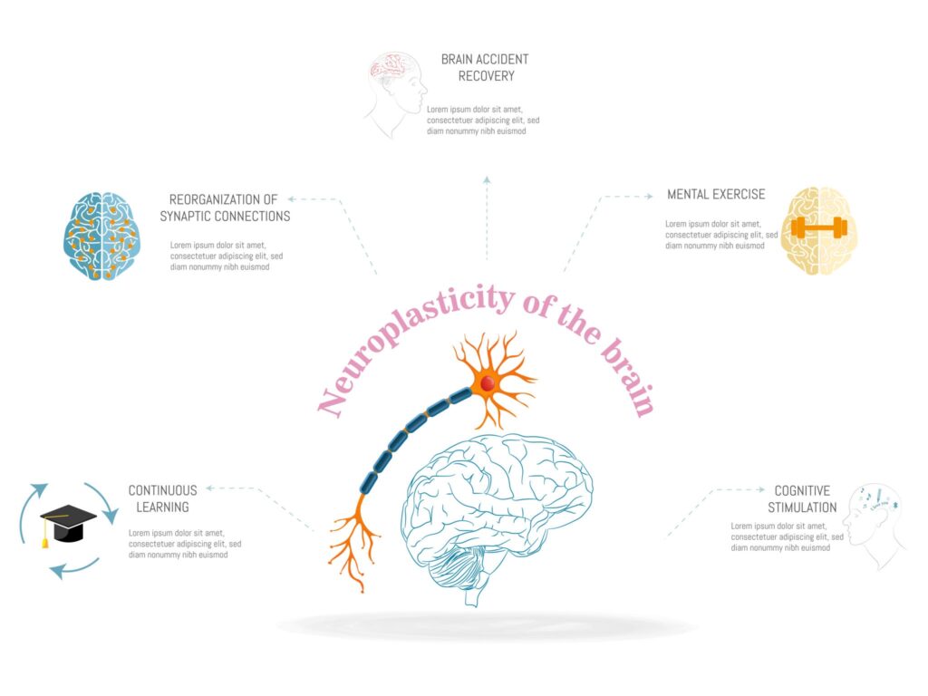 Le Blog (Manifeste) Contrôle de l’Éjaculation & Neuroplasticité : Le Manifeste de l’Élite Masculine Par Chaker Lajili, Coach Expert en Neuro-Sexologie et Performance d’Élite.